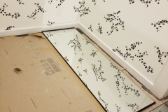 Lane Bryant storefront glass – CBE Glass commercial glass project, photo 11