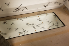 Lane Bryant storefront glass – CBE Glass commercial glass project, photo 15