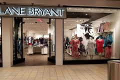 Lane Bryant storefront glass – CBE Glass commercial glass project, photo 30