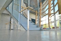 IMG-1461