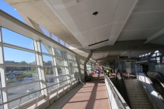 IMG-0419