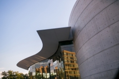 IMG-0382
