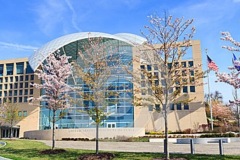 IMG-5349